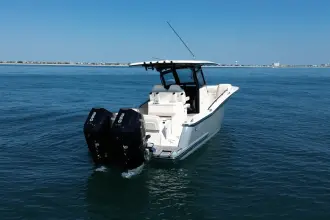 Thumbnail von Scout 305 LXF