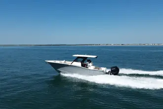 Thumbnail von Scout 305 LXF