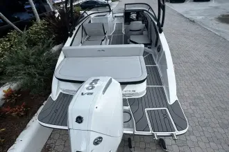 Thumbnail von Sea Ray SPX 210 Outboard