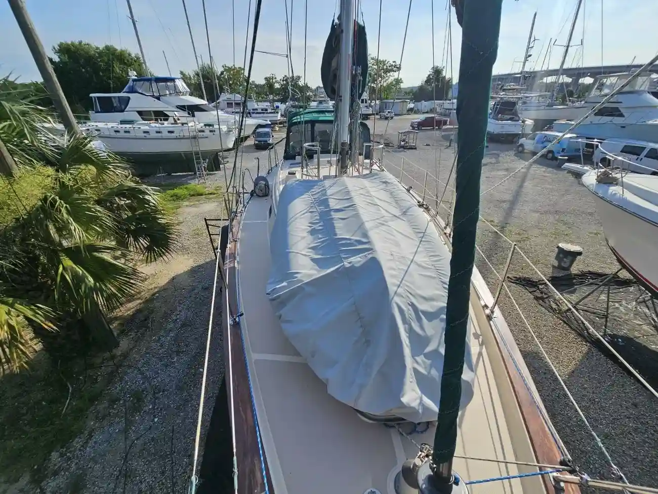 Thumbnail von Island Packet 44 Loafer's Glory II