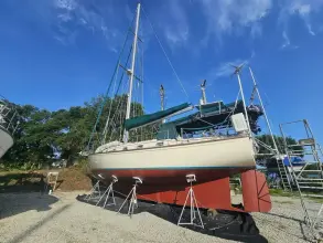 Thumbnail von Island Packet 44 Loafer's Glory II