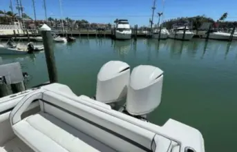 Thumbnail von Intrepid 323 Cuddy