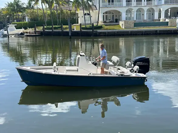 Dragonfly 21 Spanish Well