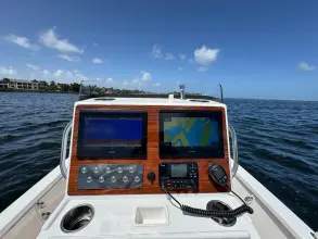 Thumbnail von Dragonfly 21 Spanish Well