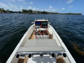 Thumbnail von Dragonfly 21 Spanish Well