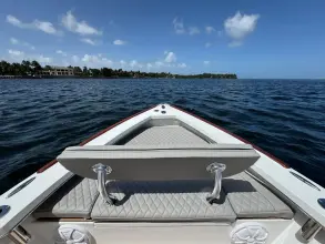 Thumbnail von Dragonfly 21 Spanish Well