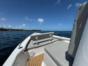 Thumbnail von Dragonfly 21 Spanish Well