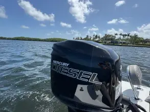 Thumbnail von Dragonfly 21 Spanish Well