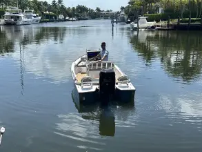 Thumbnail von Dragonfly 21 Spanish Well