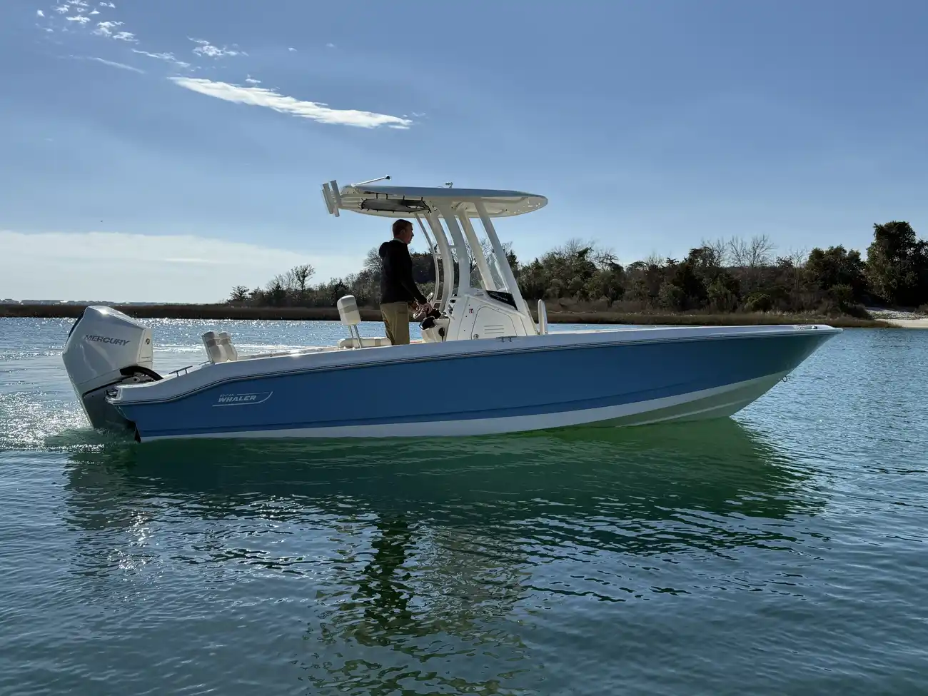Boston Whaler 250 Dauntless