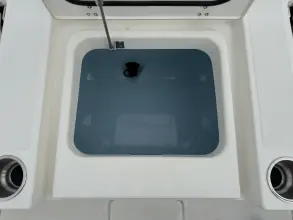 Thumbnail von Boston Whaler 250 Dauntless