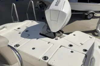 Thumbnail von Boston Whaler 250 Dauntless