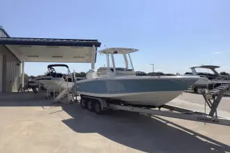 Thumbnail von Boston Whaler 250 Dauntless