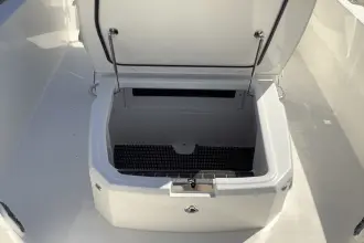 Thumbnail von Boston Whaler 250 Dauntless