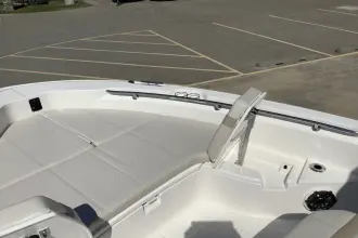 Thumbnail von Boston Whaler 250 Dauntless