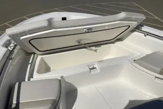 Thumbnail von Boston Whaler 250 Dauntless