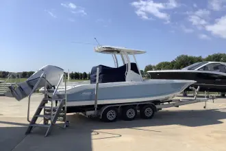 Thumbnail von Boston Whaler 250 Dauntless