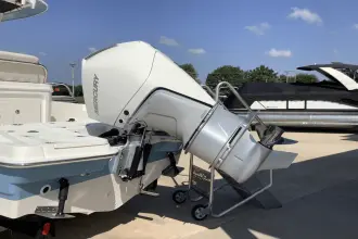 Thumbnail von Boston Whaler 250 Dauntless