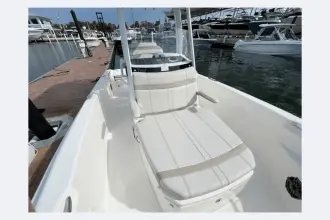 Thumbnail von Boston Whaler 220 Dauntless