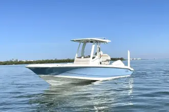 Thumbnail von Boston Whaler 220 Dauntless