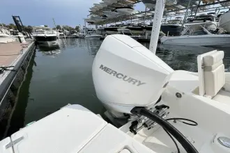 Thumbnail von Boston Whaler 220 Dauntless