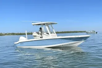 Thumbnail von Boston Whaler 220 Dauntless