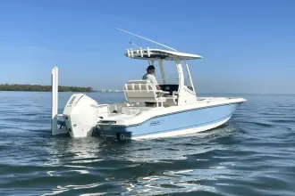 Thumbnail von Boston Whaler 220 Dauntless