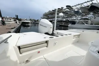 Thumbnail von Boston Whaler 220 Dauntless