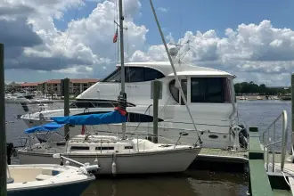 Thumbnail von Carver 506 Motor Yacht Kiki's Tiki