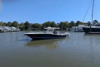 Thumbnail von Scout 300 LXF