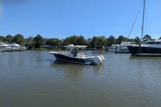 Thumbnail von Scout 300 LXF