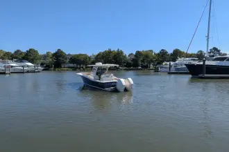 Thumbnail von Scout 300 LXF