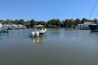 Thumbnail von Scout 300 LXF