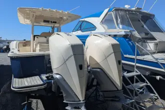 Thumbnail von Scout 300 LXF