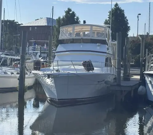 Viking 44 The Briar Patch