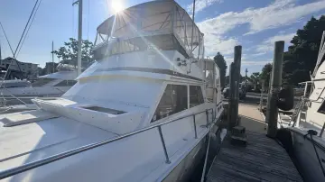 Thumbnail von Viking 44 The Briar Patch