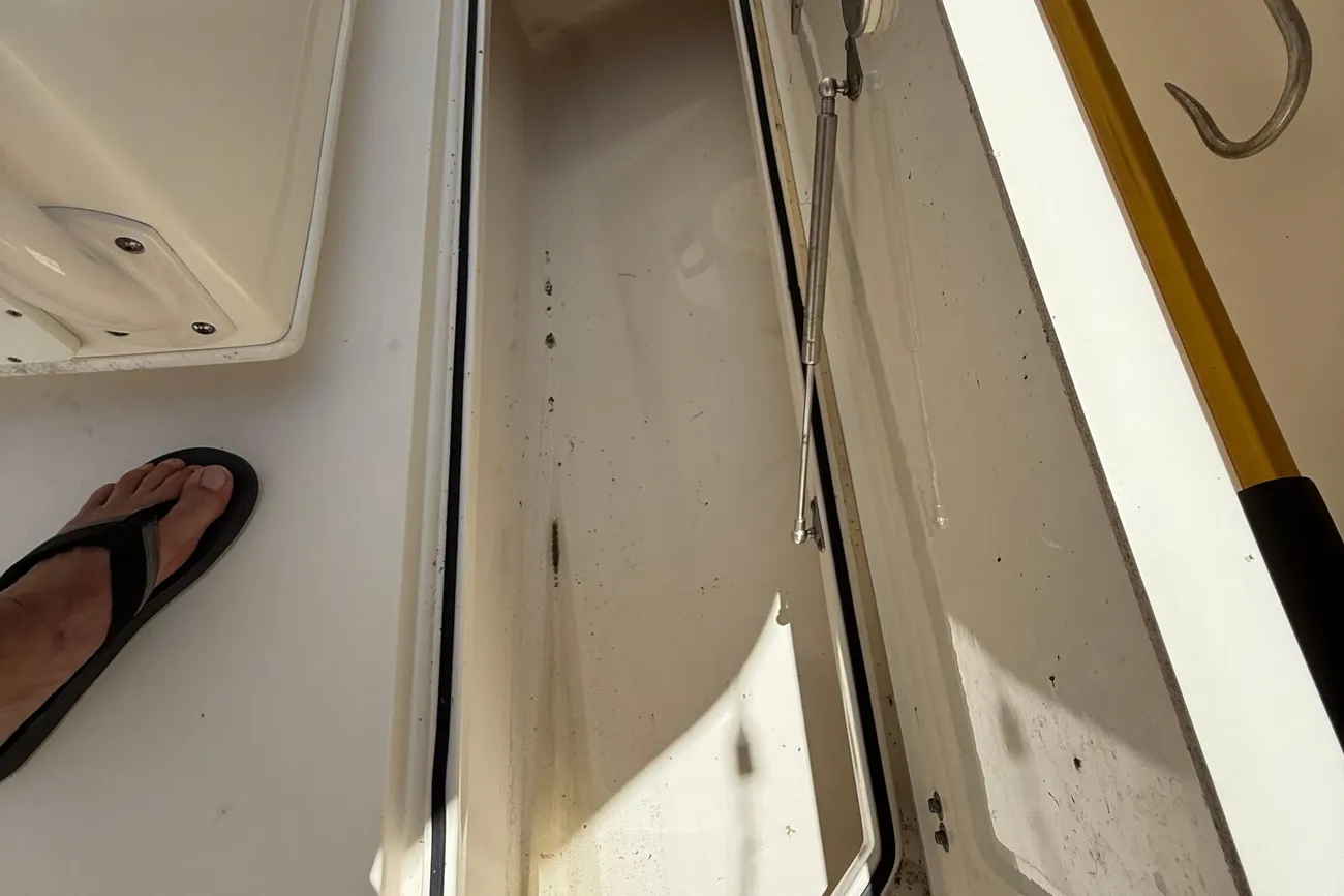 Thumbnail von Cobia 296 Center Console