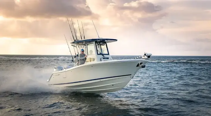 Cobia 245 CC