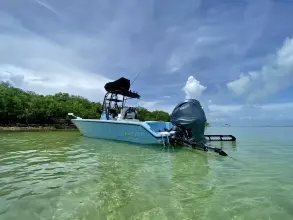 Thumbnail von Pathfinder 2700 Open