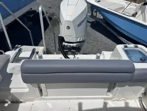 Thumbnail von Boston Whaler 230 Outrage