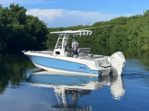 Thumbnail von Boston Whaler 230 Outrage