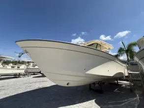 Thumbnail von Grady White Canyon 336