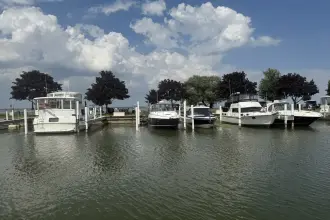 Thumbnail von Rinker 360 Express Cruiser