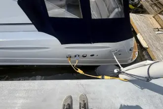 Thumbnail von Rinker 360 Express Cruiser