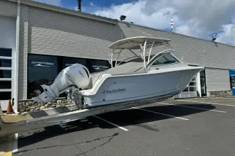 Thumbnail von Sailfish 245 DC