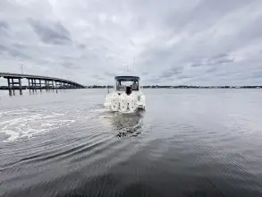 Thumbnail von Boston Whaler 365 Conquest