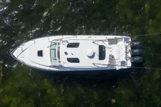 Thumbnail von Everglades 350 LX