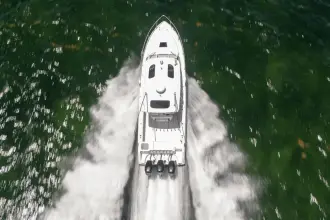 Thumbnail von Everglades 350 LX