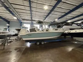 Thumbnail von Boston Whaler 220 Dauntless