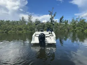 Thumbnail von Cobalt R4